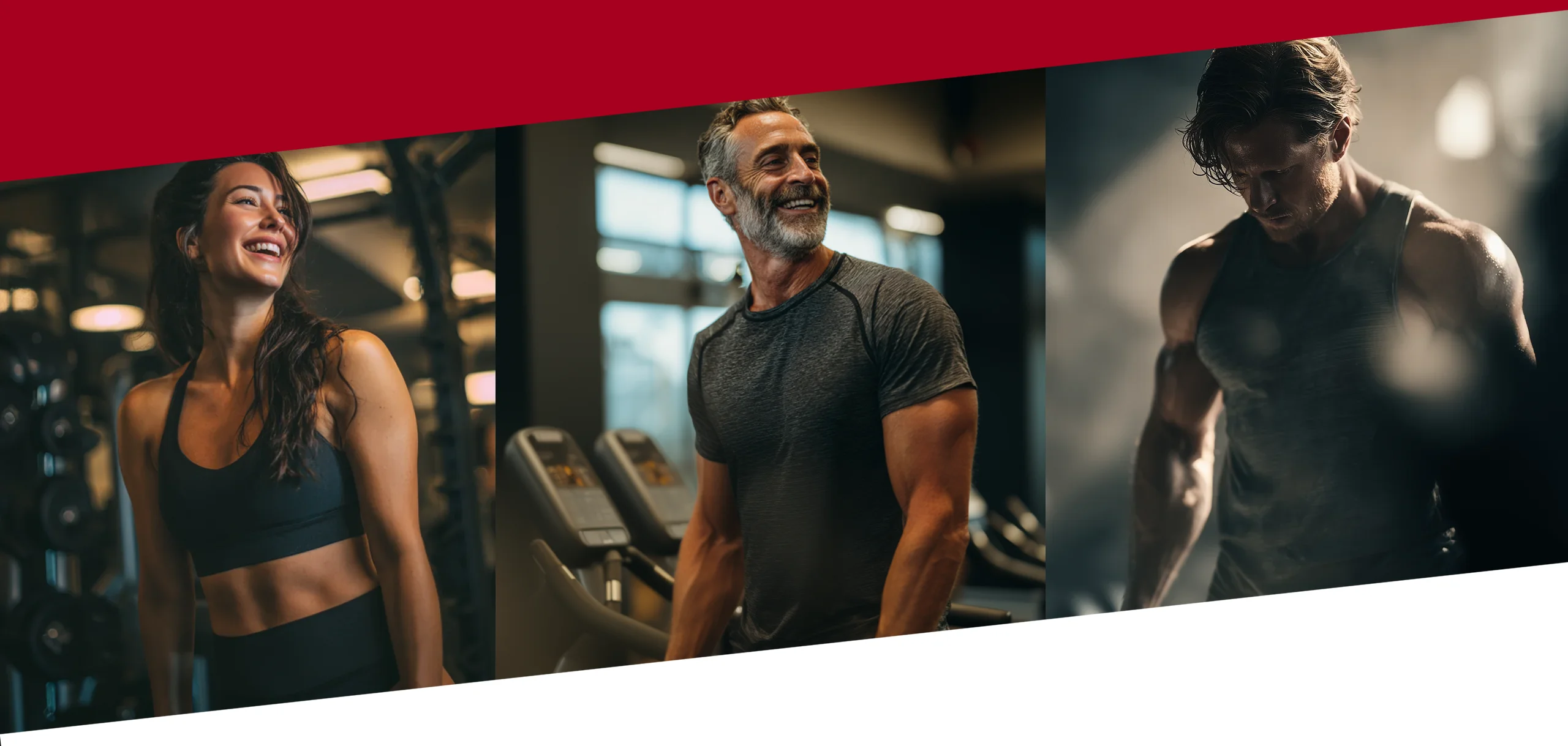 Wheyland Sport - Wheyland Srbija