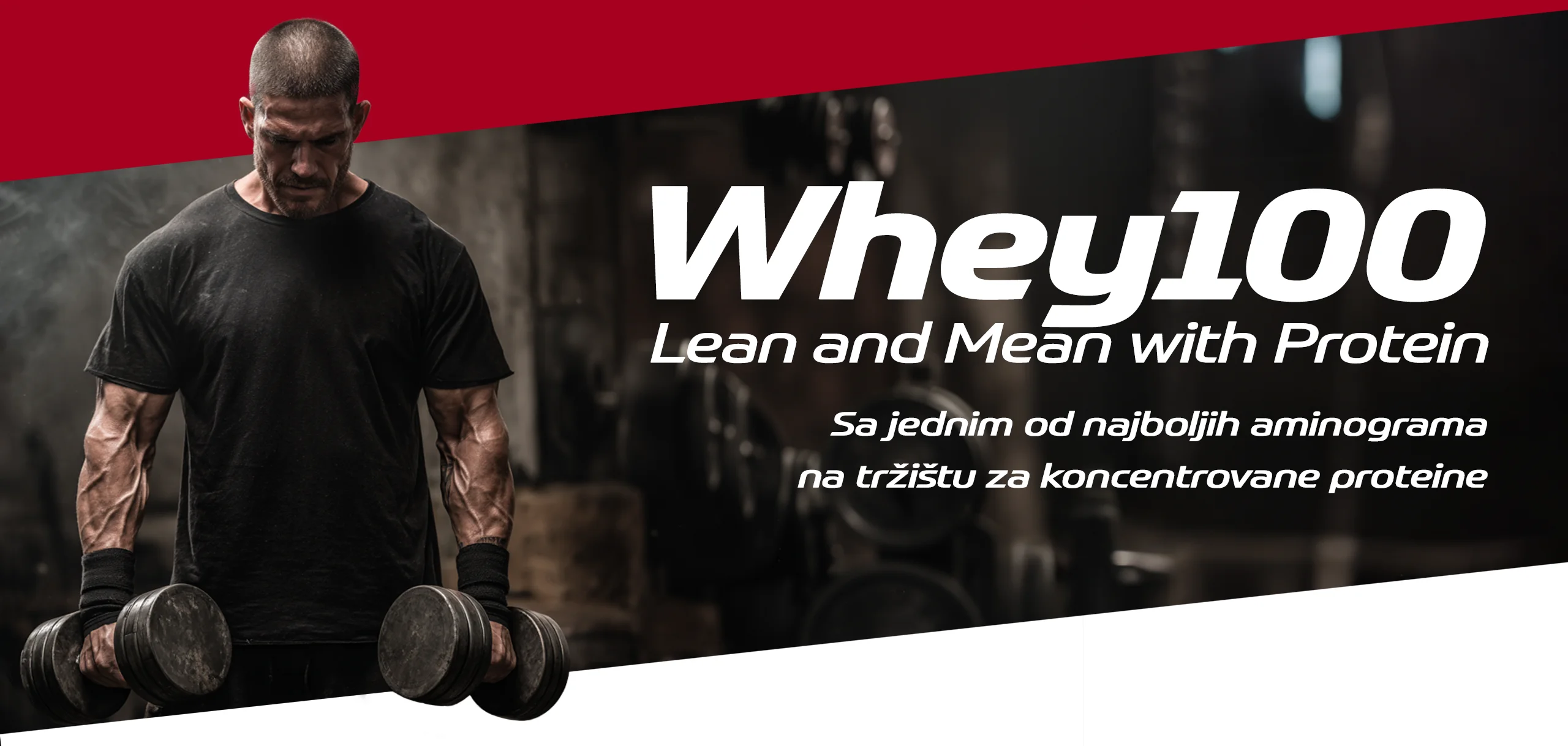 Whey 100 banner - Wheyland Sport - Wheyland Srbija
