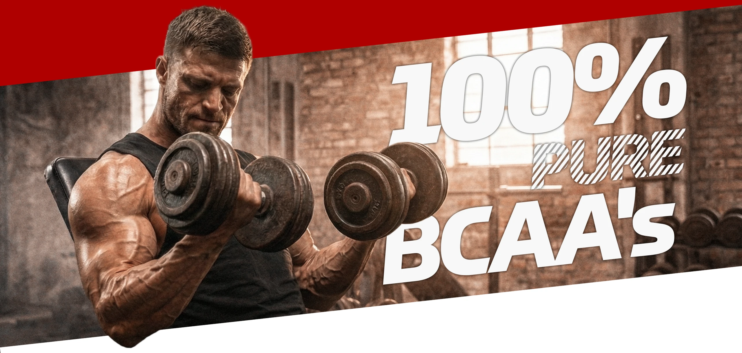 Wheyland Srbija - Wheyland Sport